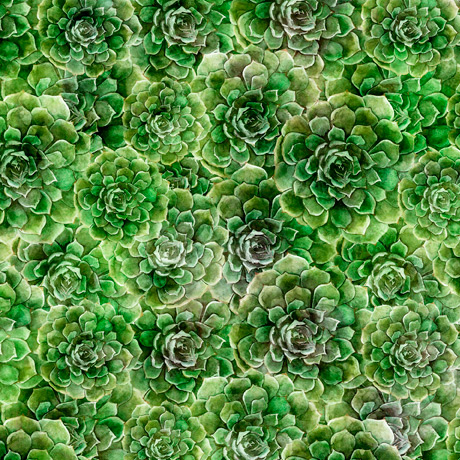 MINKY PRINTS             